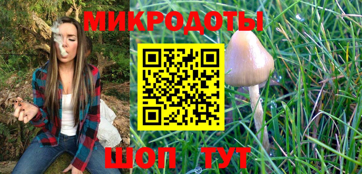 Псилоцибиновые грибы Psilocybine cubensis Кулебаки